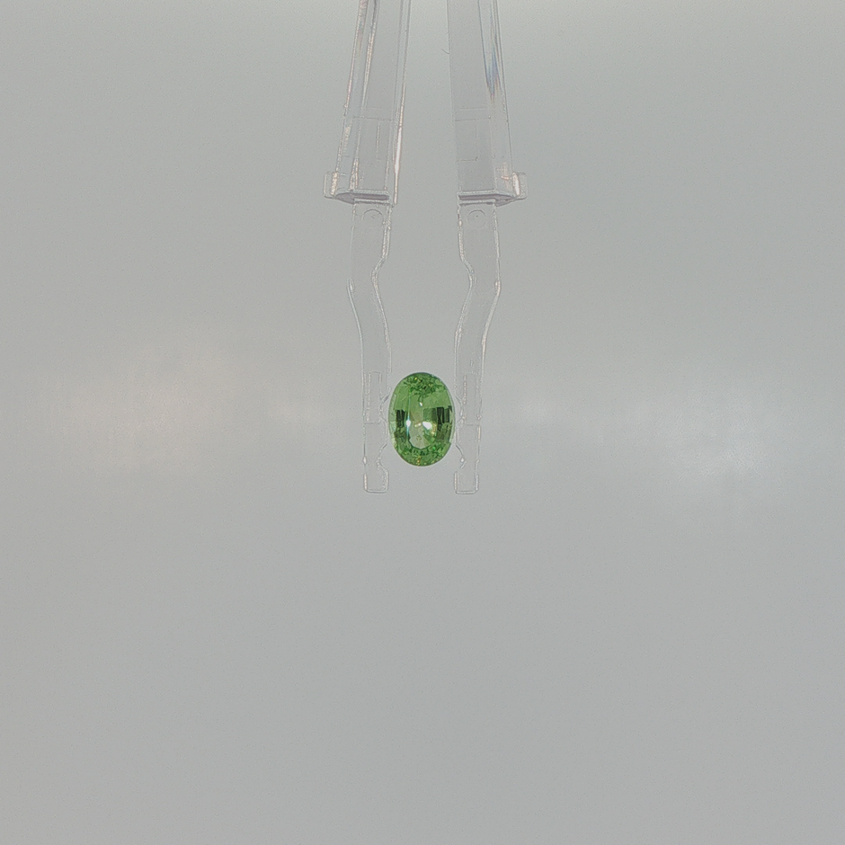 Peridot 0.87 ct Oval Brilliant Cut