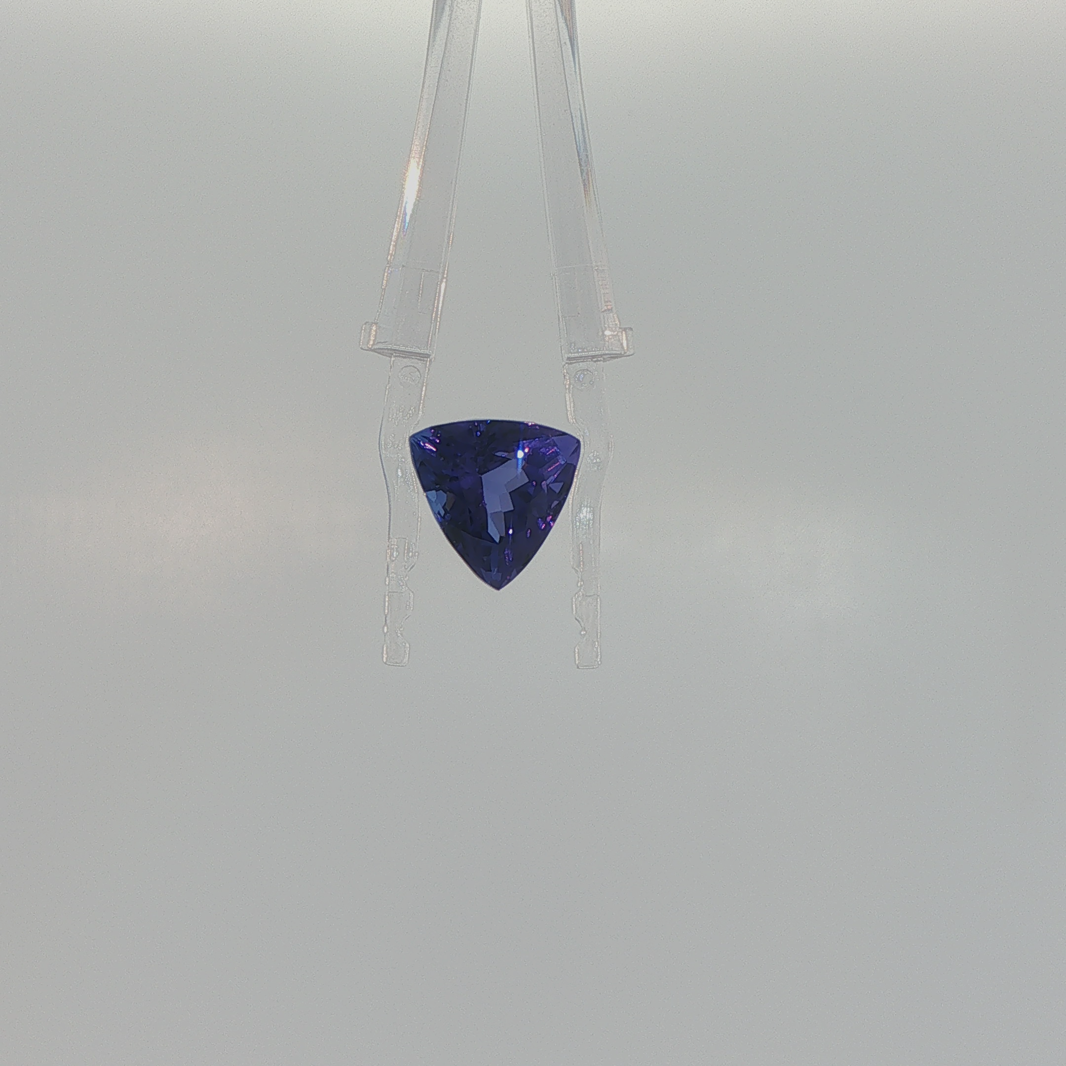 Tanzanite 6.62 ct Trillion Cut