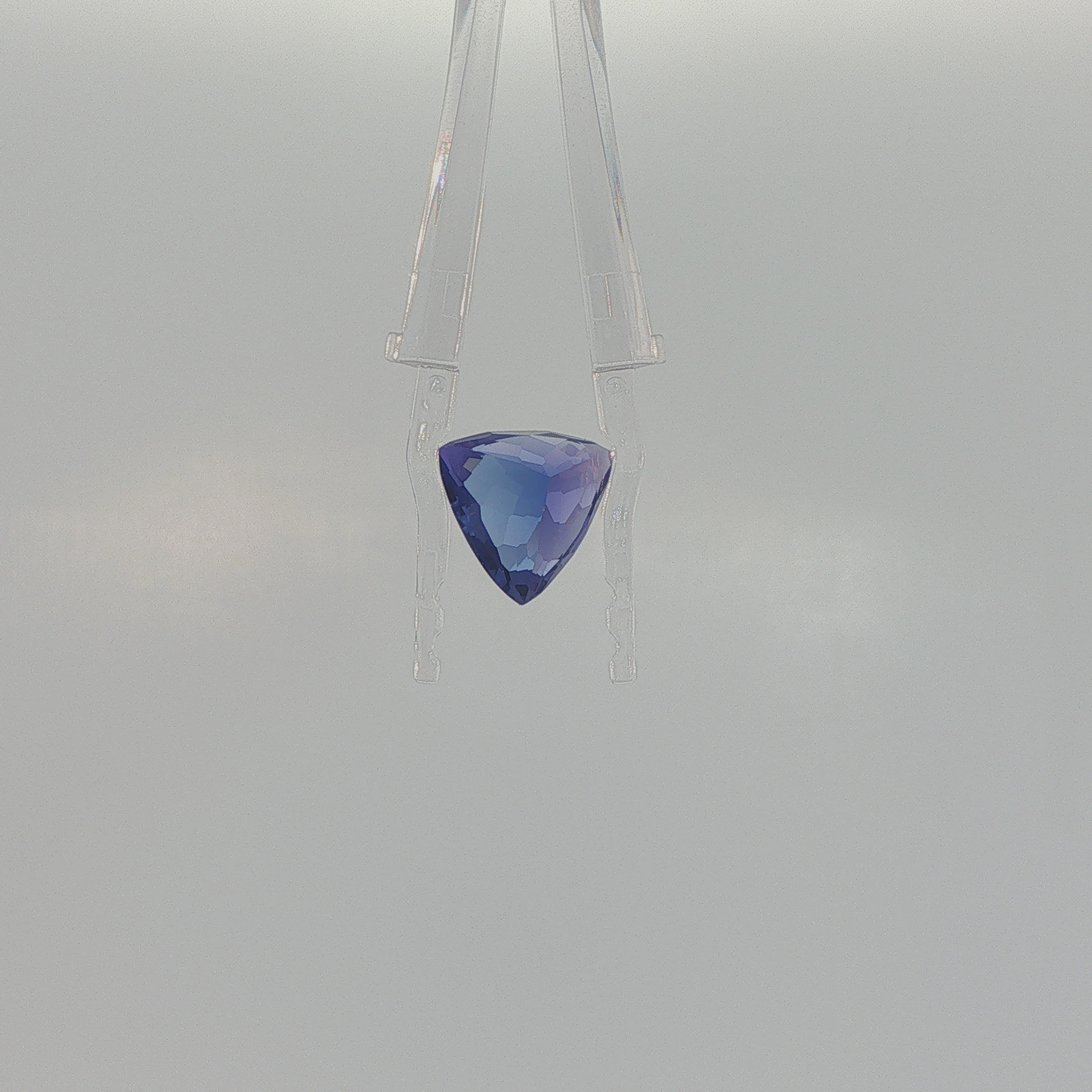 Tanzanite 6.62 ct Trillion Cut