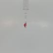 Ruby 0.61 ct Oval Cut