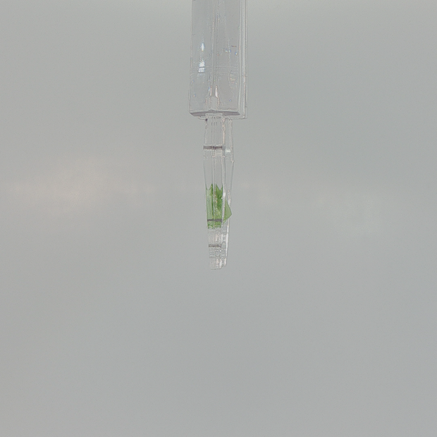 Peridot 0.64 ct Pear Cut