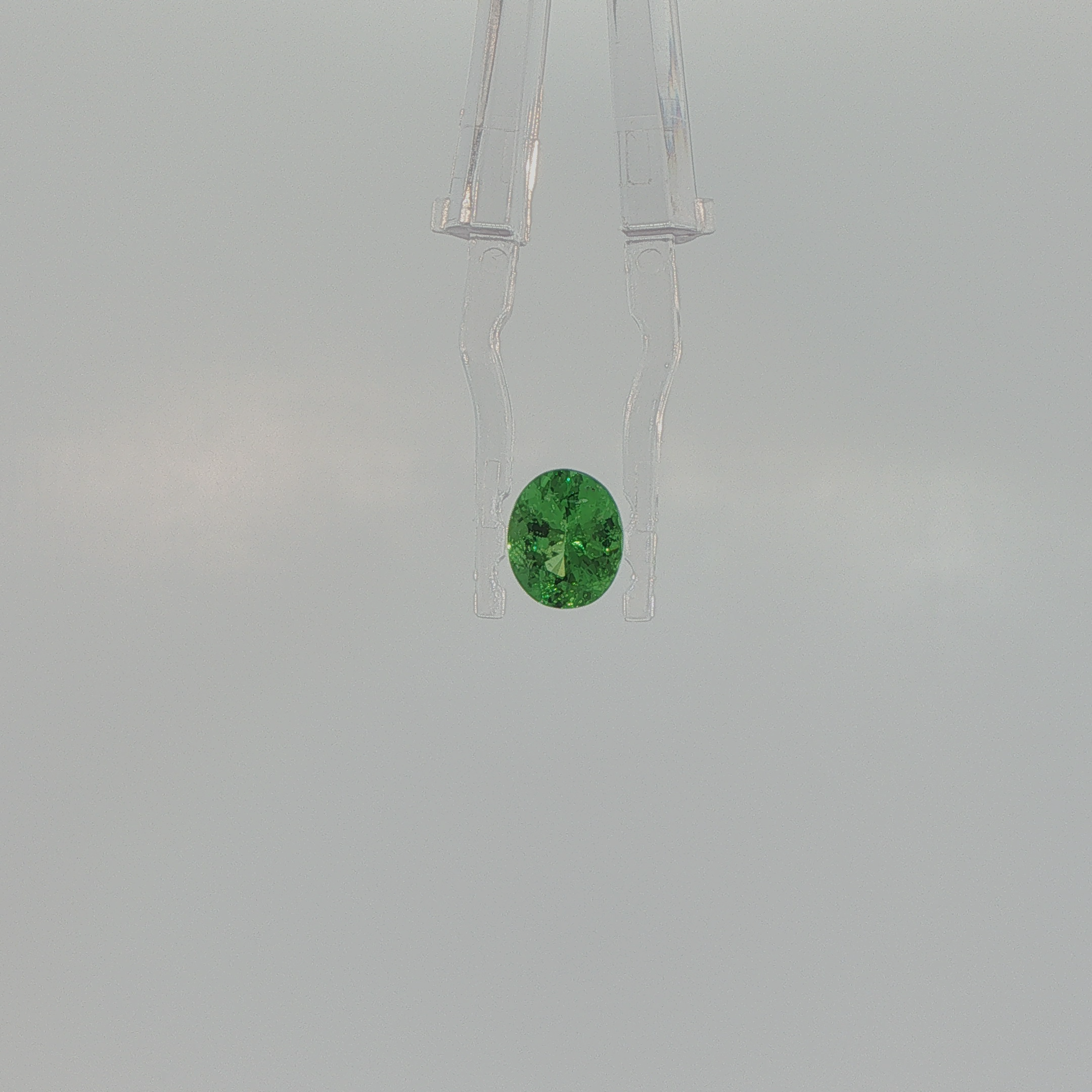 Tsavorite Garnet 1.46 ct Oval Cut
