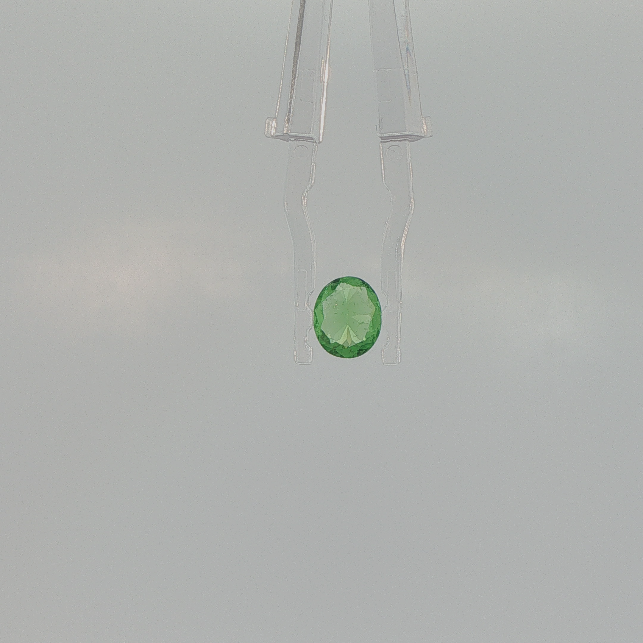 Tsavorite Garnet 1.46 ct Oval Cut