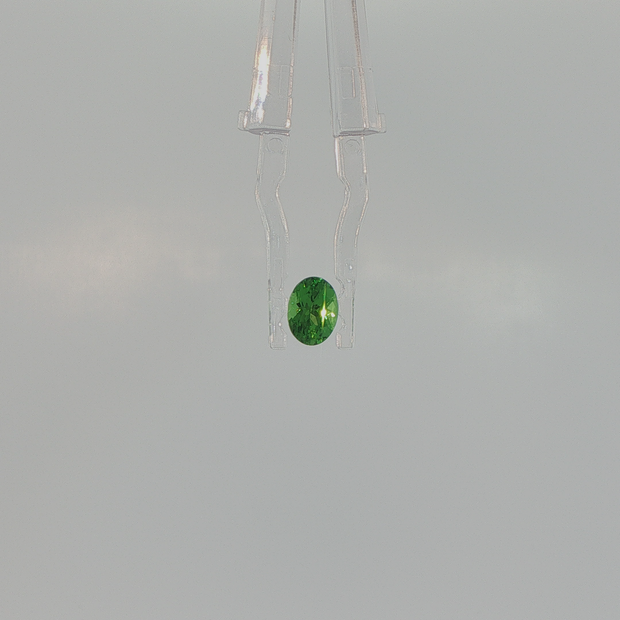 Tsavorite Garnet 0.94 ct Oval Cut