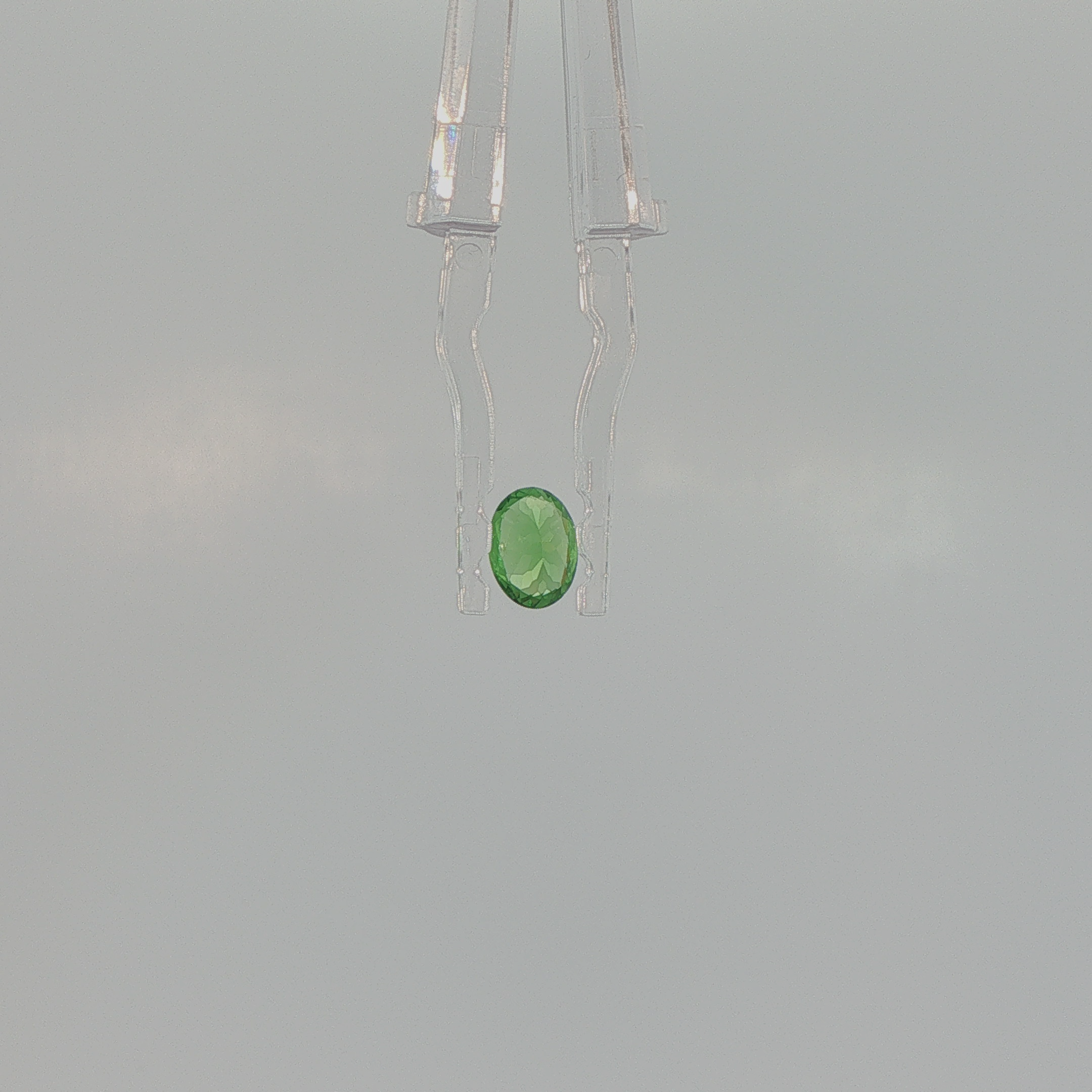 Tsavorite Garnet 0.94 ct Oval Cut