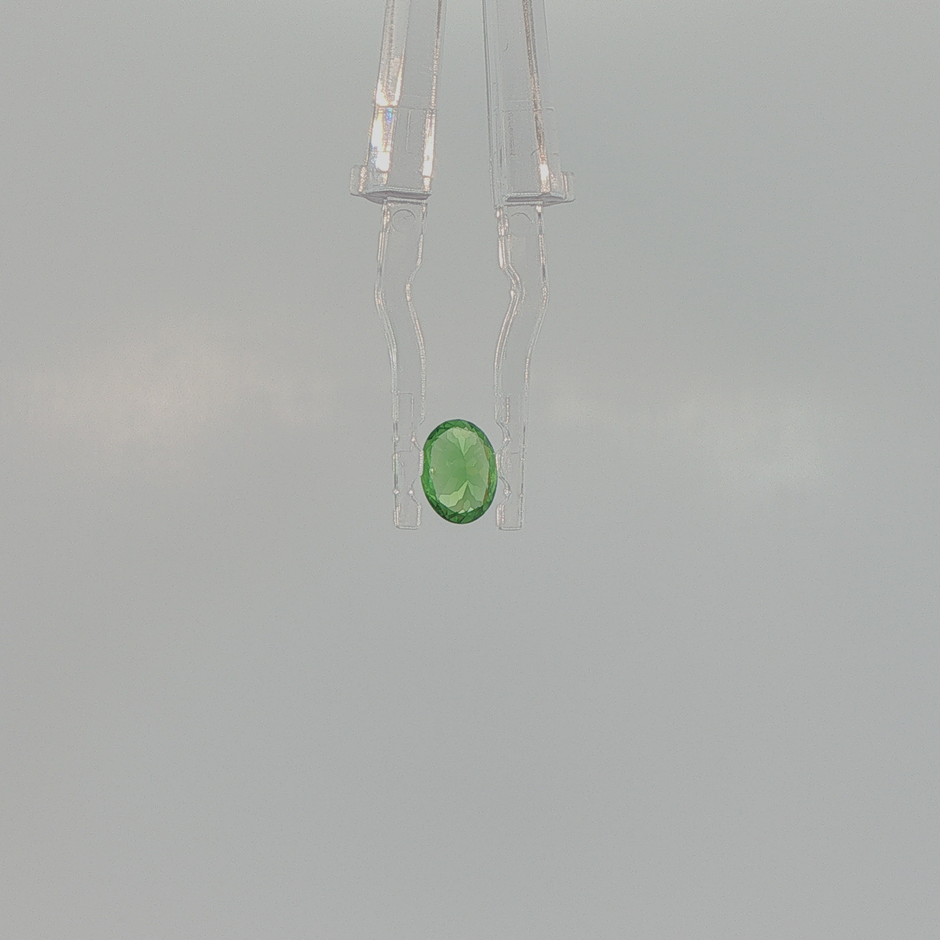 Tsavorite Garnet 0.94 ct Oval Cut