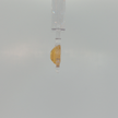 Natural Citrine 3.56 ct Octagon Step Cut