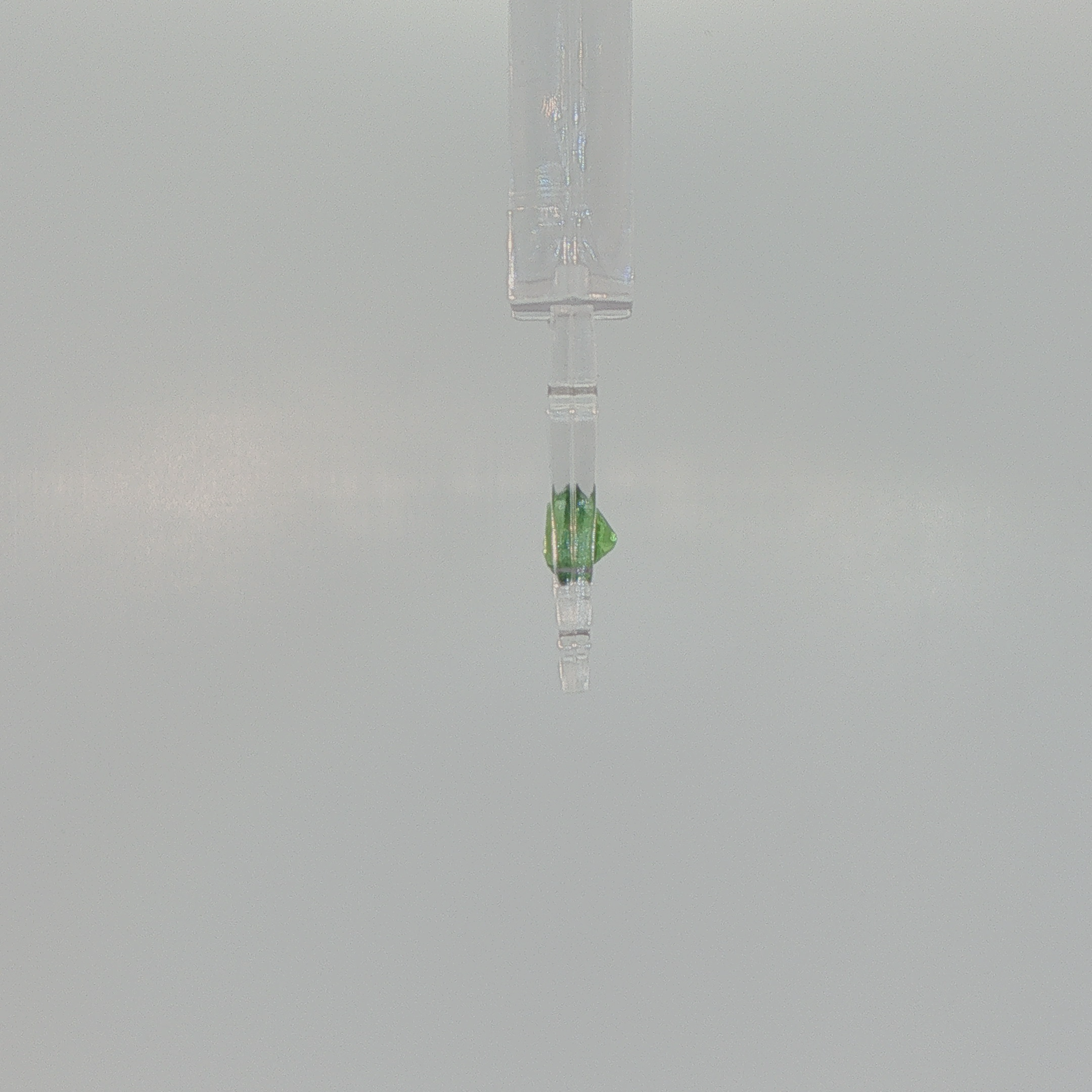 Natural Tsavorite Garnet 0.88 ct Oval Brilliant Cut