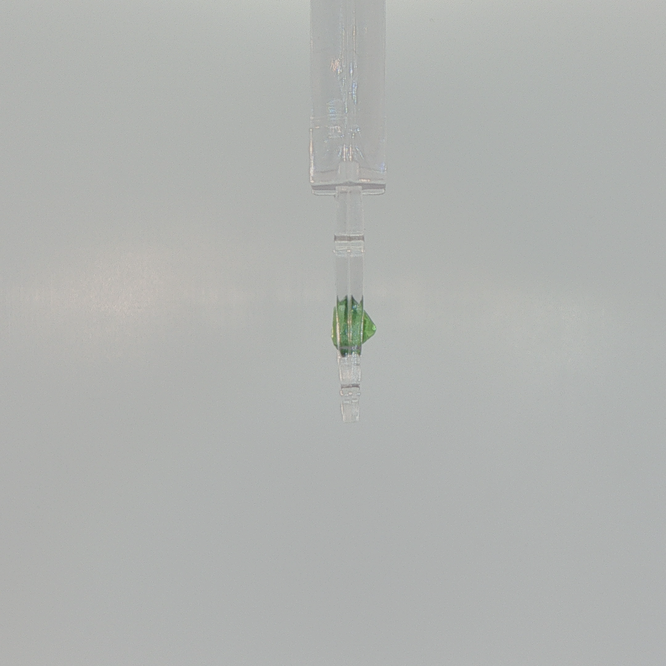 Natural Tsavorite Garnet 0.88 ct Oval Brilliant Cut