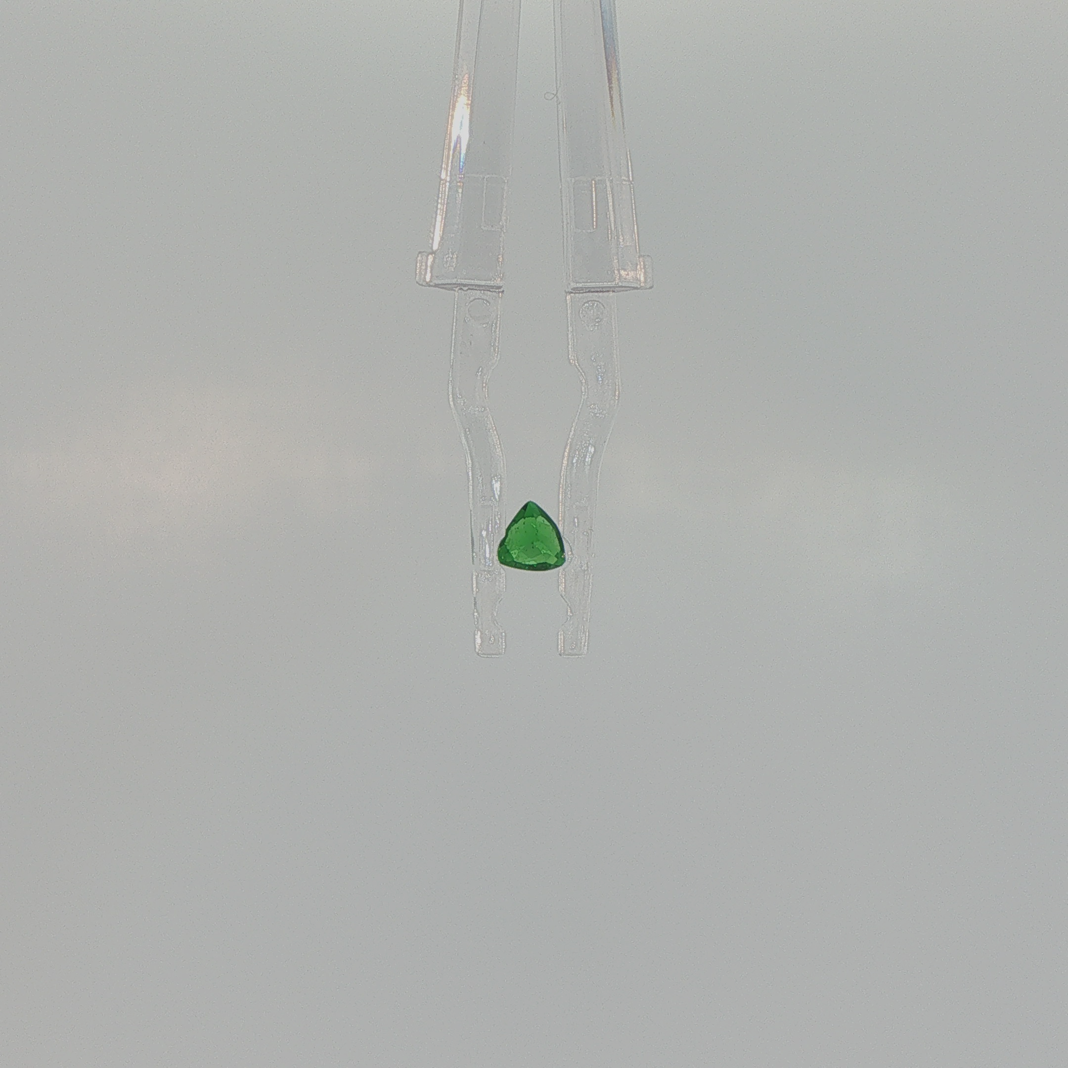 Natural Tsavorite Garnet 0.33 ct Trillion Brilliant Cut