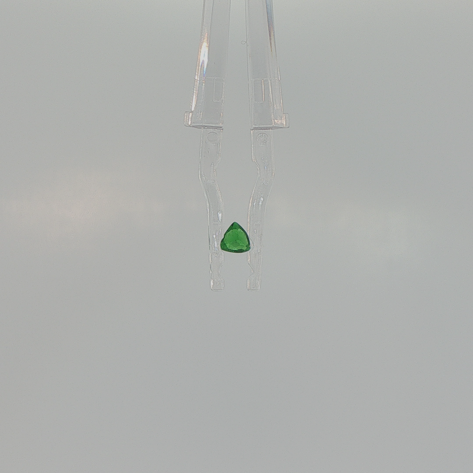 Natural Tsavorite Garnet 0.33 ct Trillion Brilliant Cut