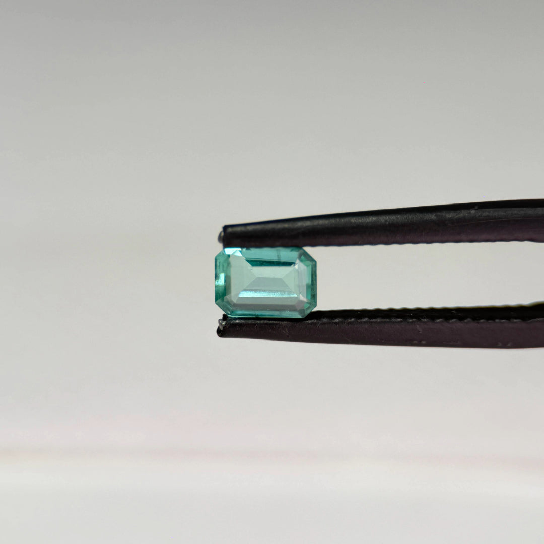 Emerald 0.63 ct Green Octagon