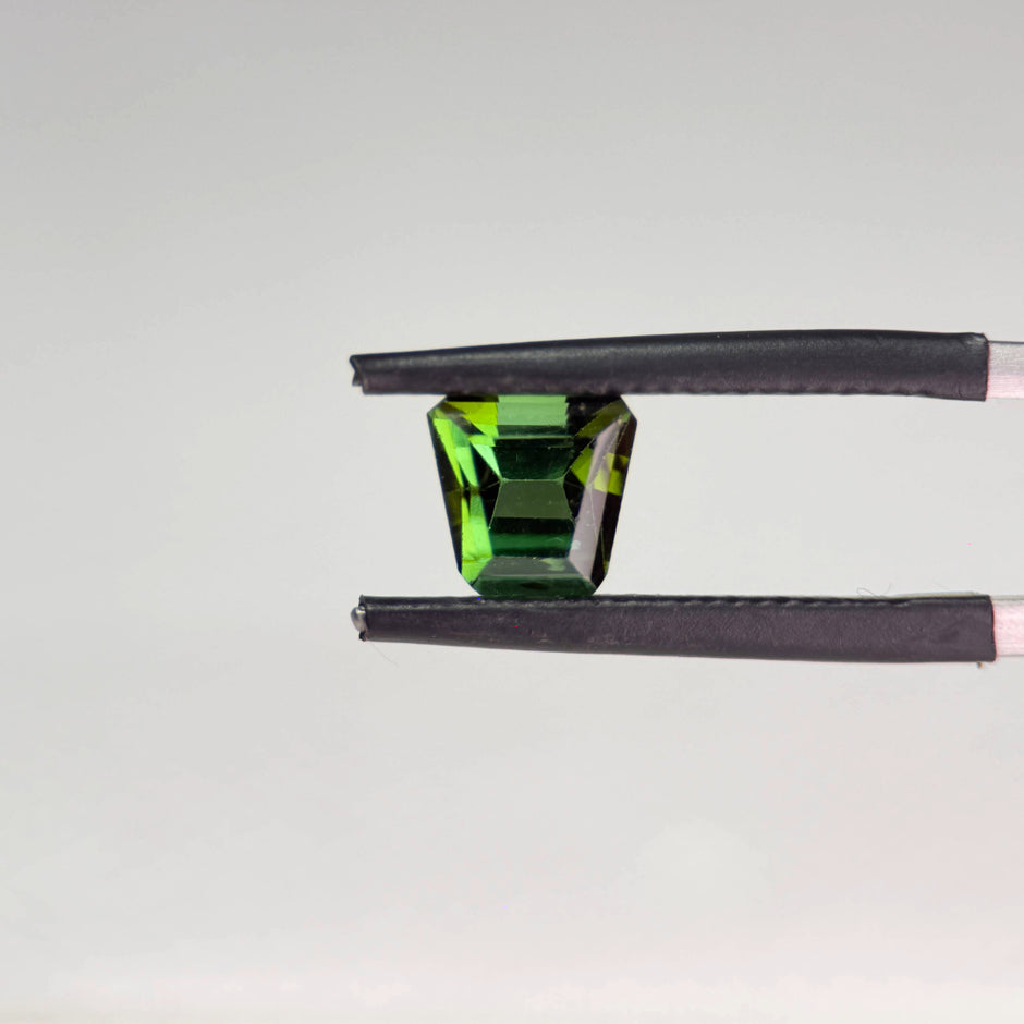 Green Tourmaline 1.76 ct Green Freeform